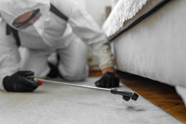 Professional Termite Control technician working in Hampton, GA
