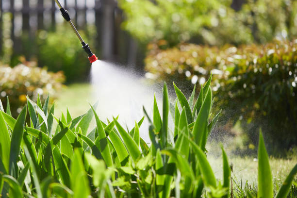 24/7 Emergency Termite Control experts in Hampton, GA