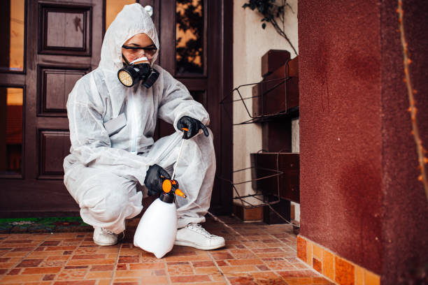 Reliable Termite Control contractor in Hampton, GA by Nex Pest Control